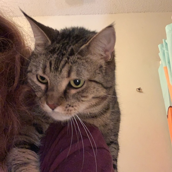 Meet your Posher, Hannah - Picture 7 of 12